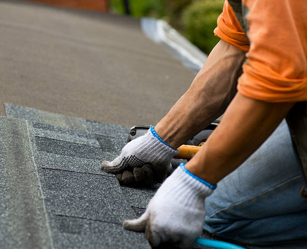 Best Roof Maintenance Services  in Frenchtown, MT